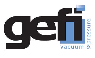 New-logo-GEFI.jpg